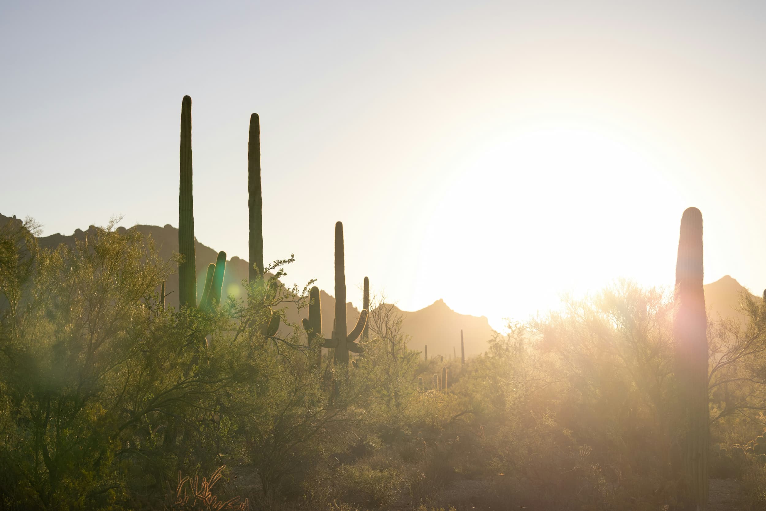 Scenic Arizona landscape served by Ativo Home Care